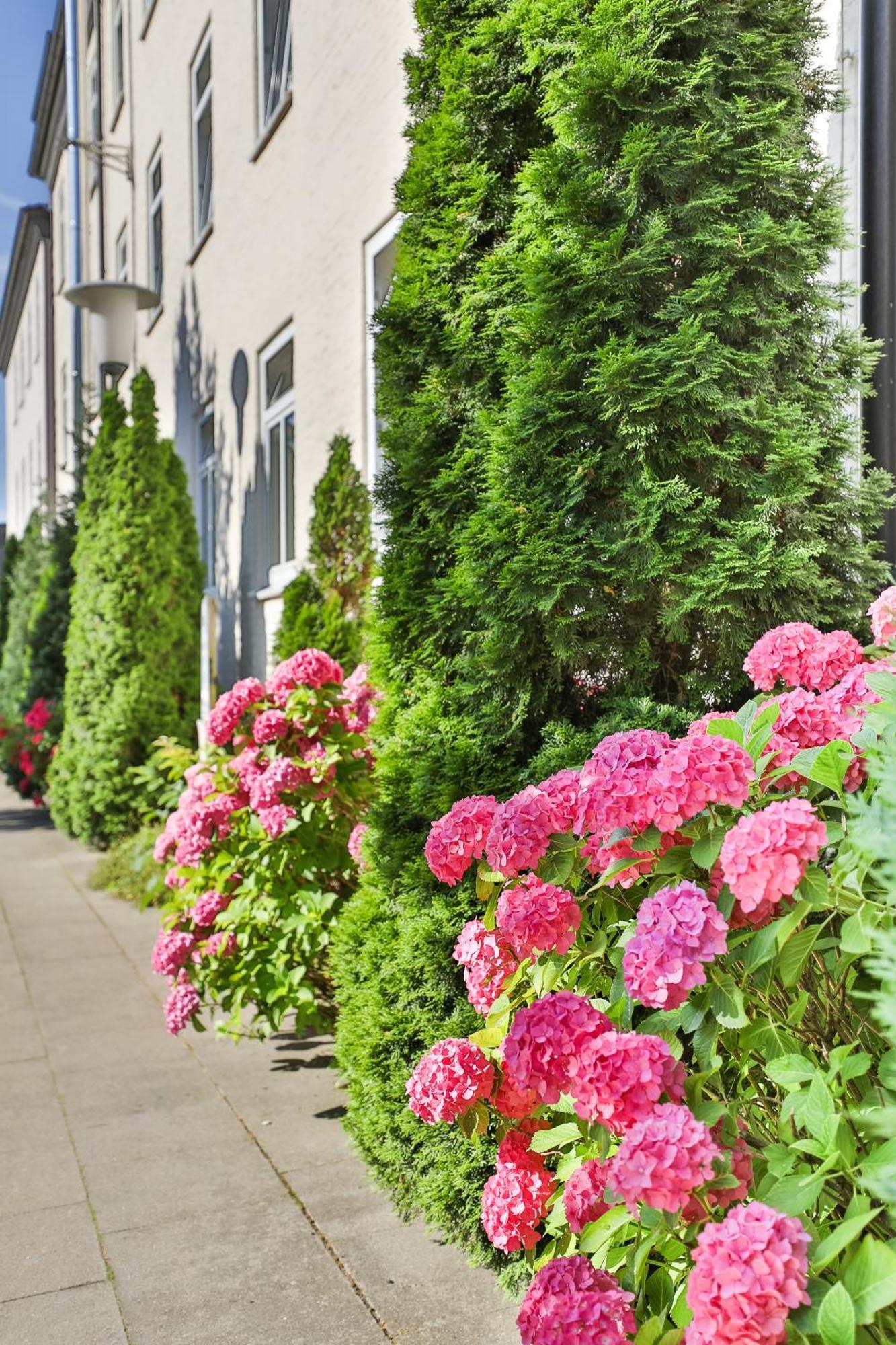 Berne Apartments Hamburg-Harburg Buitenkant foto
